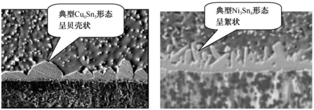 Cu6Sn5与Ni3Sn4的形态 Cu6Sn5与Ni3Sn4的形态